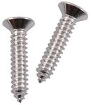 Ford Parts -  Headlight Rim Stainless Steel Screws (2 Pcs)